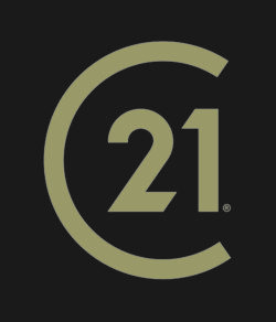 C Gold fond Grey
